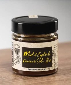 Miel Résinifère de Sidi Ifni – 950 g – Direct Ferme