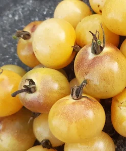 Tomate Napa Chardonnay Blush