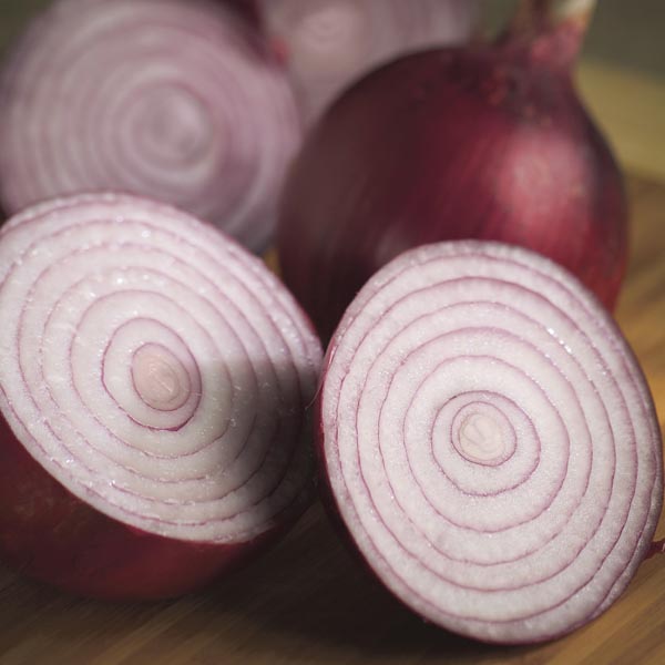Oignon Rouge Ruby