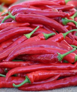 Piment long de Sichuan