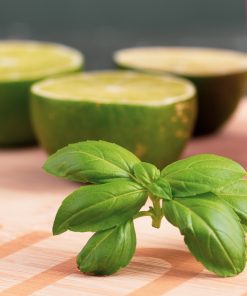 Basilic Lime