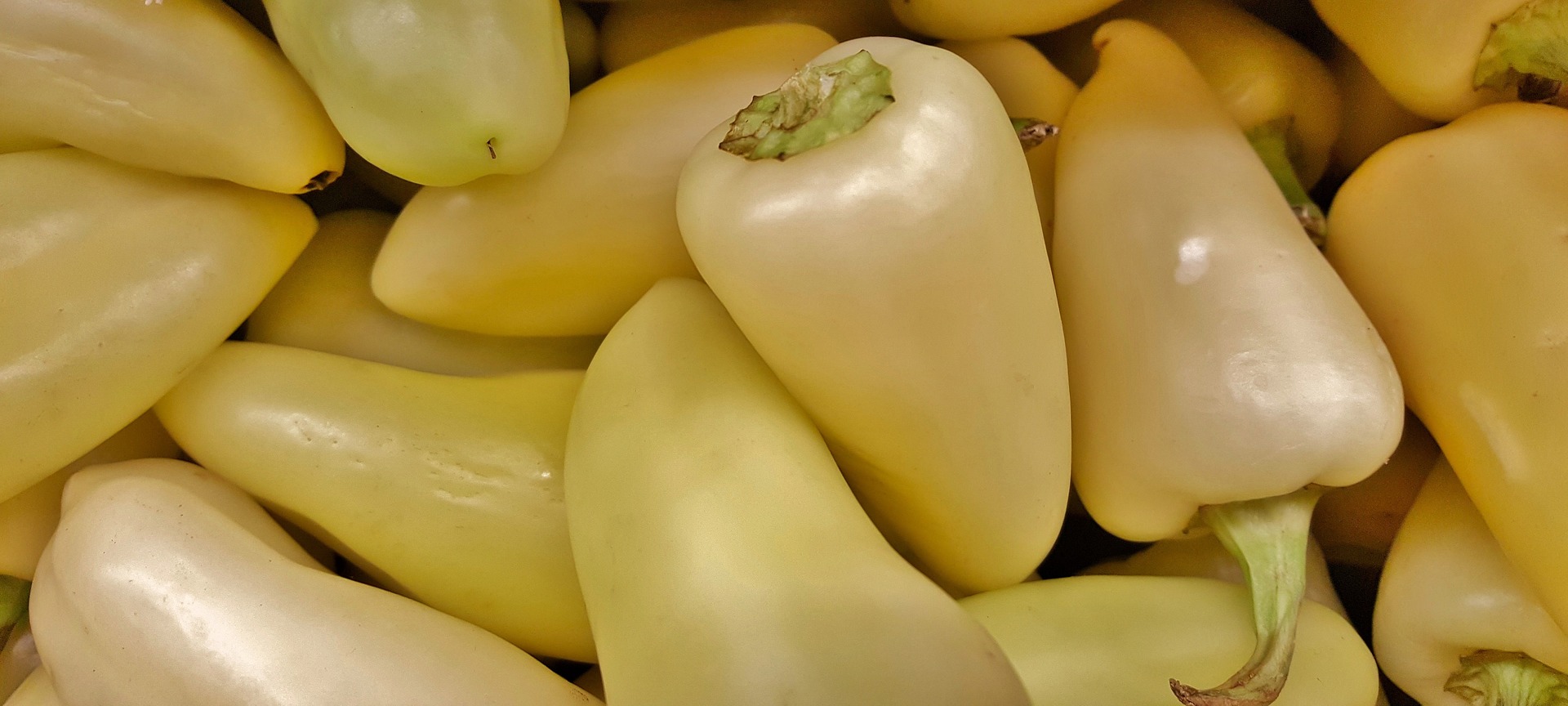 Poivron Sucré Blanc Crème