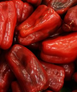 Poivron Sucré Mercedes