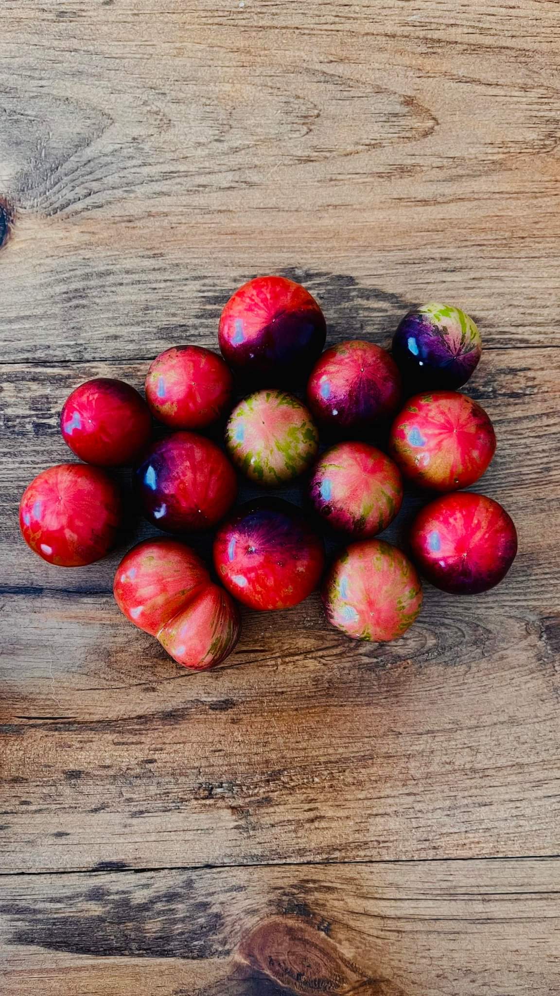 Tomate Cerise Noire à la Fraise – Image 2