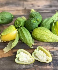 Tomatillo Reine de Malinalco