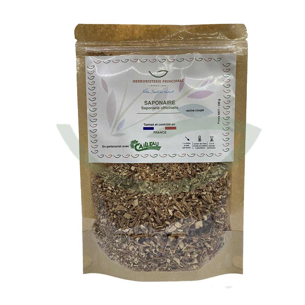 Plante Médicinale Saponaire – Saponaria Officinalis – Racine coupée – 100g – Image 2