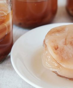 Scoby Kombucha