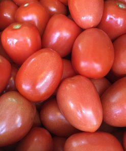 Tomate de Barao Royal