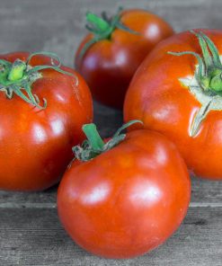 Tomate Heinz Classic