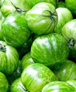 Tomate Verte Zébrée