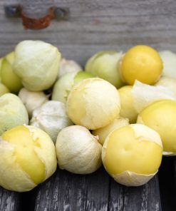 Tomatillo Amarylla