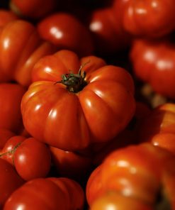 Tomate Ancestrale Romanesco