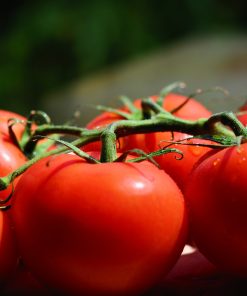 Tomate Beefsteak Nain