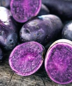 Pomme de terre Purple Explosion