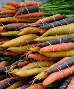 Carotte Mix Arc-en-ciel