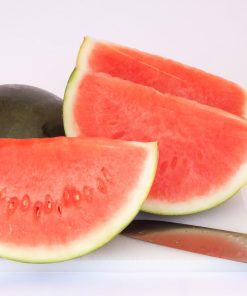 Melon d&rsquo;eau l&rsquo;éclat du Nord