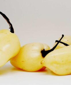 Piment White Fatality