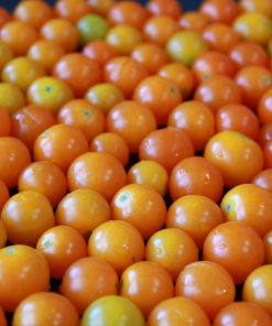 Tomate Cerise Jaune Savoureuse