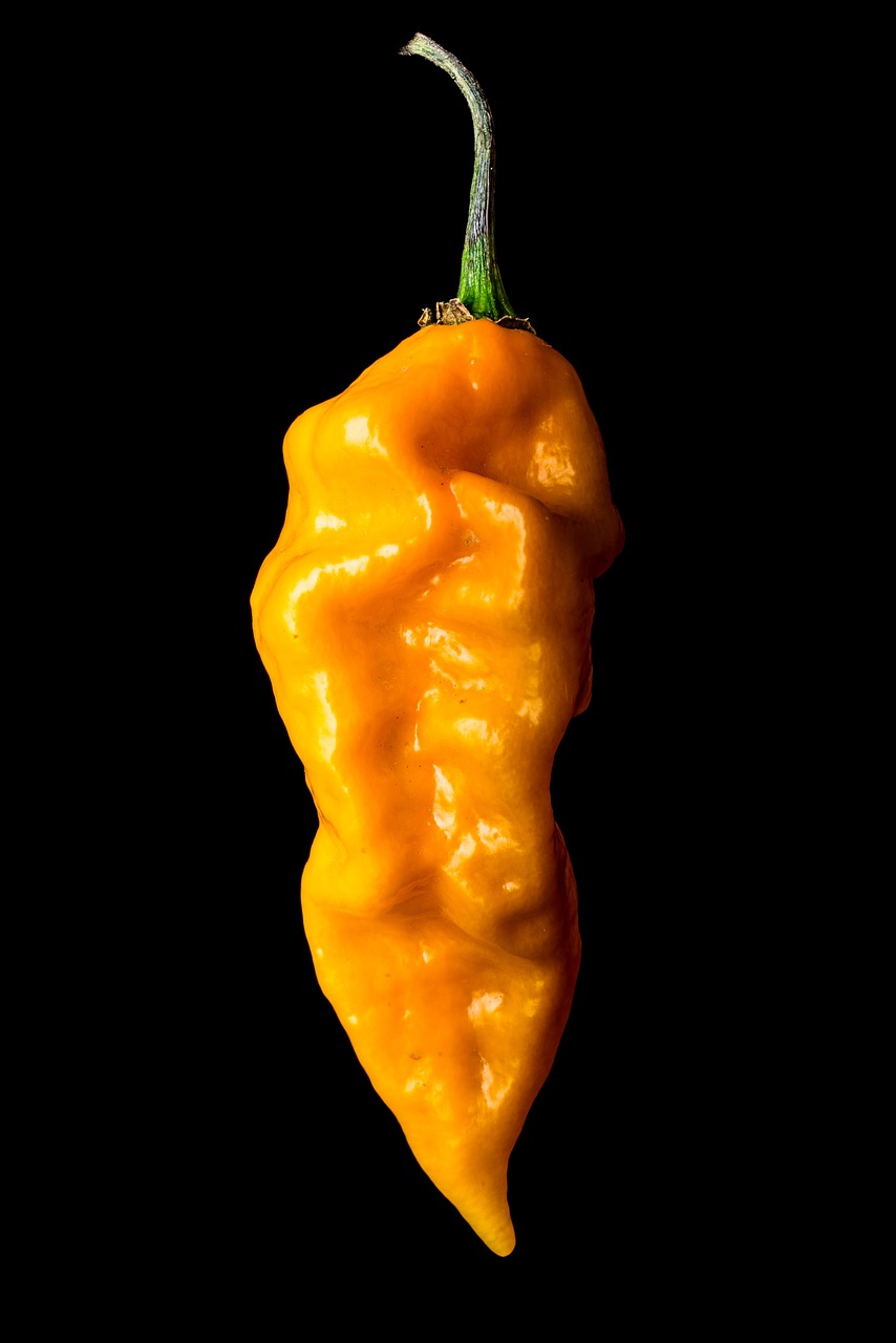 Piment Datil de Floride