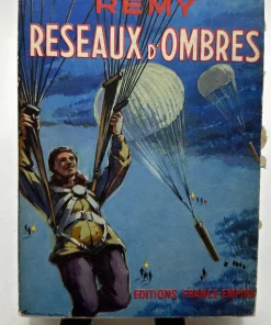 Réseaux d’ombres Remy