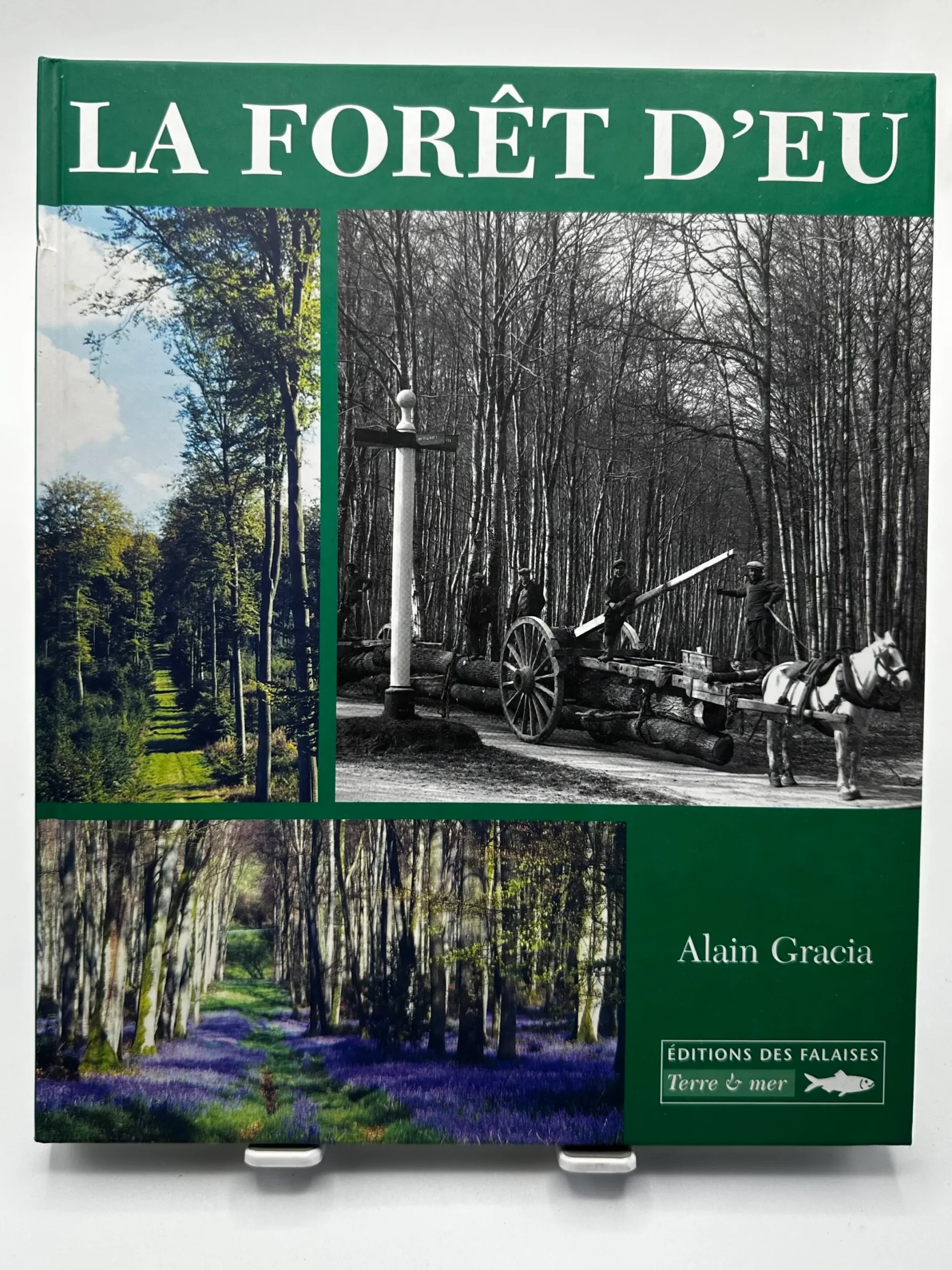La forêt d’Eu Gracia, Alain – Image 4