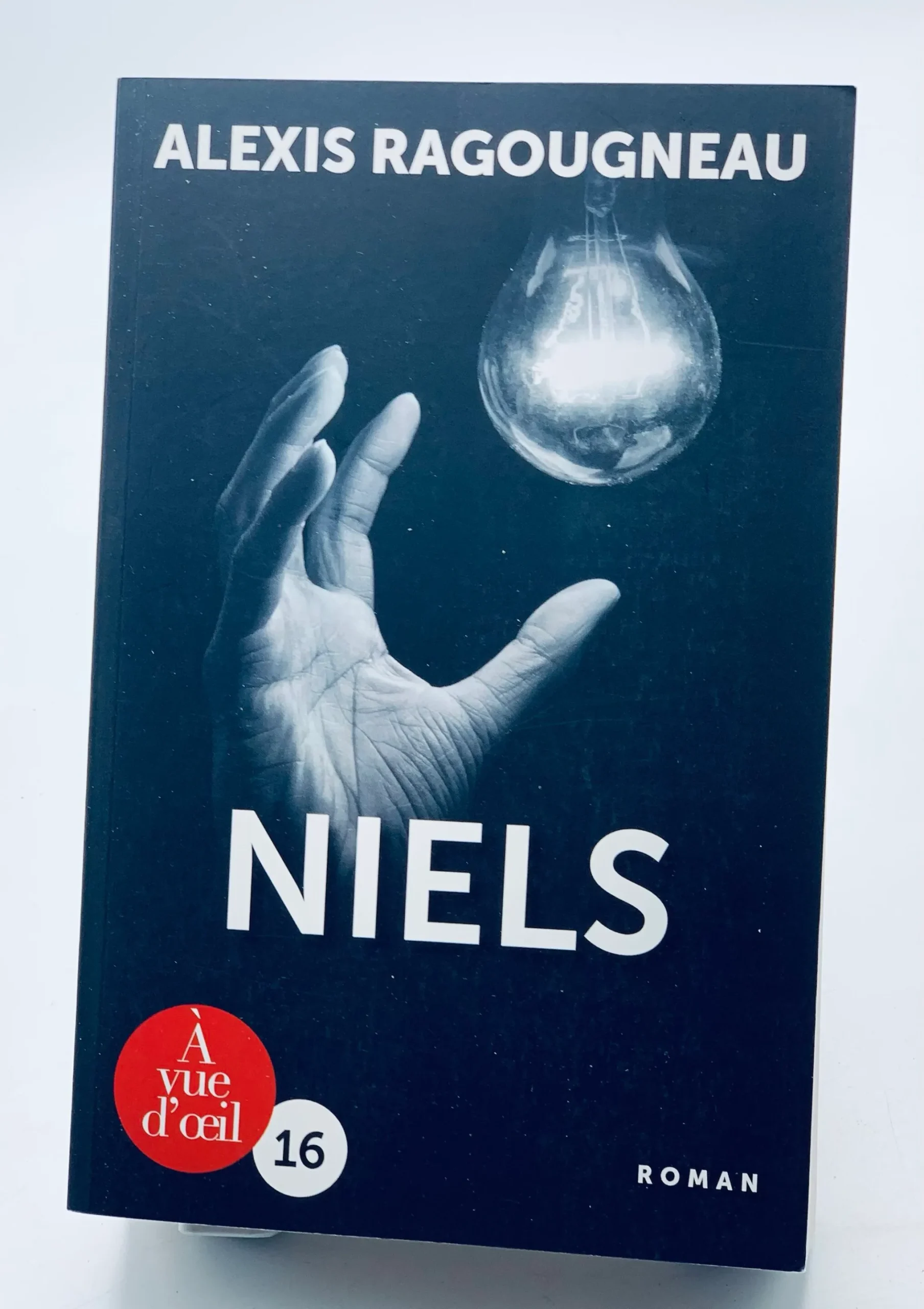 Niels de Alexis Ragougneau Grands caractères16