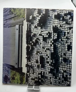 Toshiaki Tsukui Préface Lione! Jianou textes Hiromi Tsukui