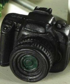 Appareil photo reflex numérique 24X36