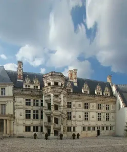 Guide Privé Château de Blois *** (2h)