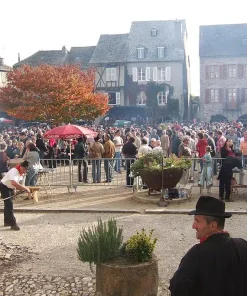 Guide Privé Sauveterre de Rouergue *** (2h)