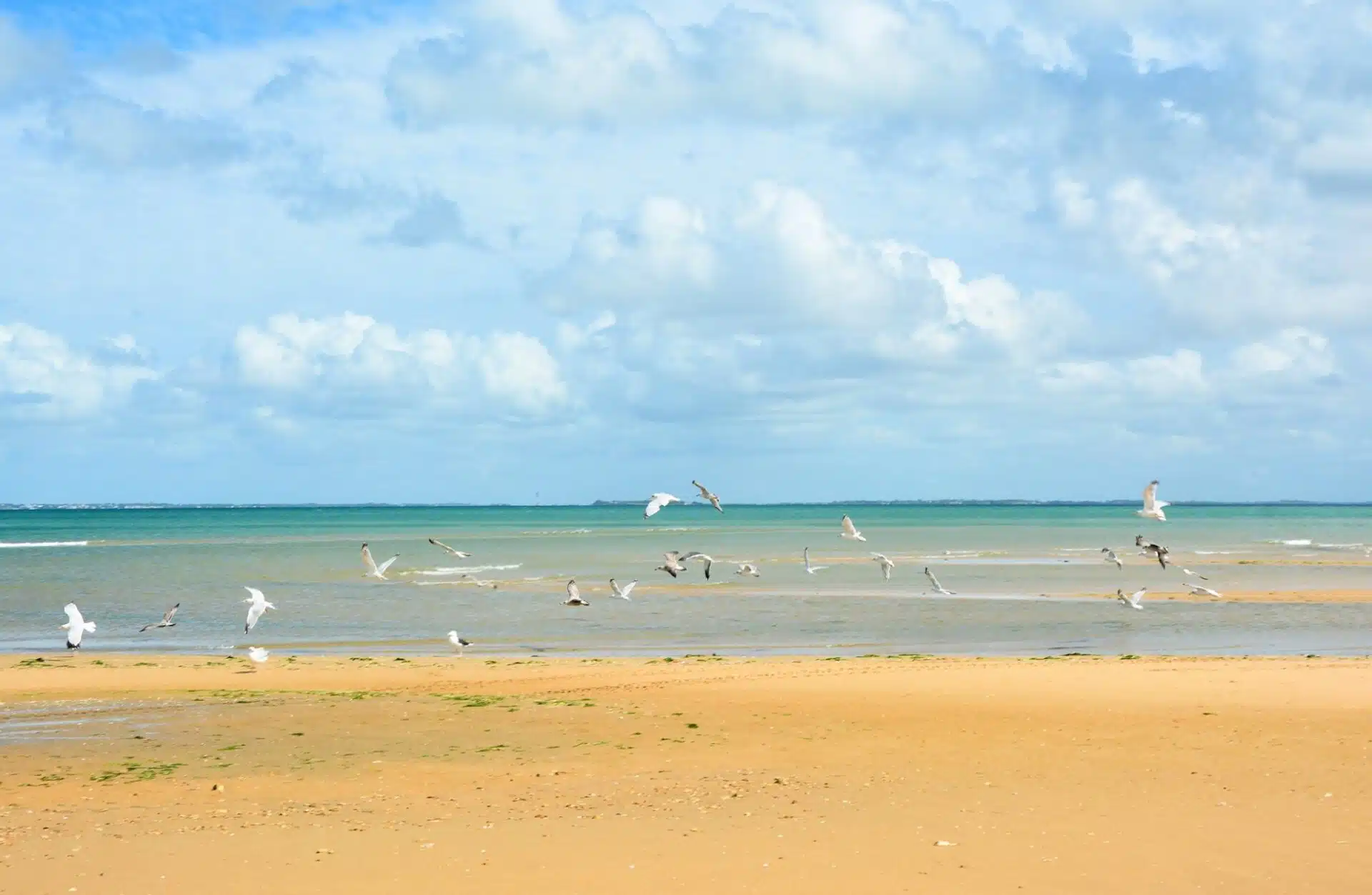 Guide Privé Ile d’Oléron *** (2h)