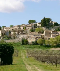 Guide Privé Joucas *** (2h)