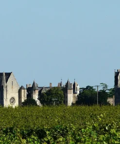 Guide Privé Montreuil Bellay *** (2h)