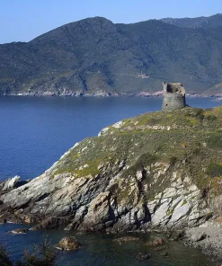 Visite Guidée Pino (2h)