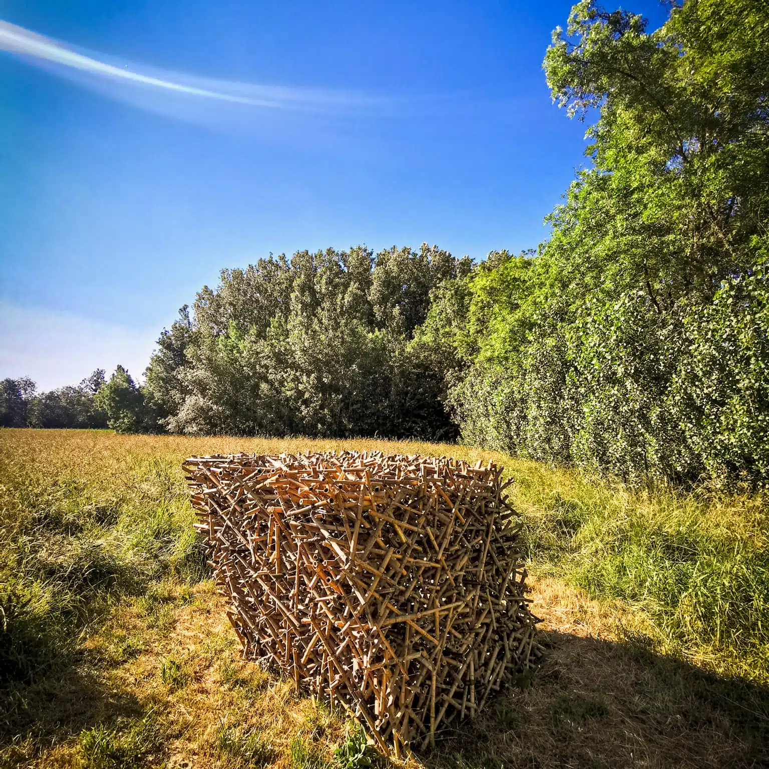 Réservez votre guide à Beaulieu Les Loches, 1h à 9h, Groupe de 1 à 30 pers – Image 3