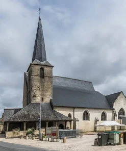 Visite Guidée Château de Cheverny (2h)
