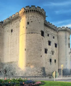 Visite Guidée Tarascon (2h)